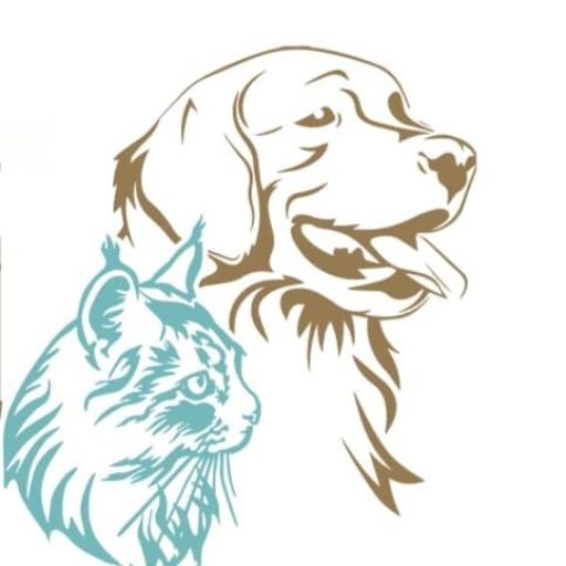 Beauty Dog & Cat — illustration